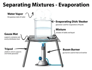 Vapor Pressure of Liquid Solutions.