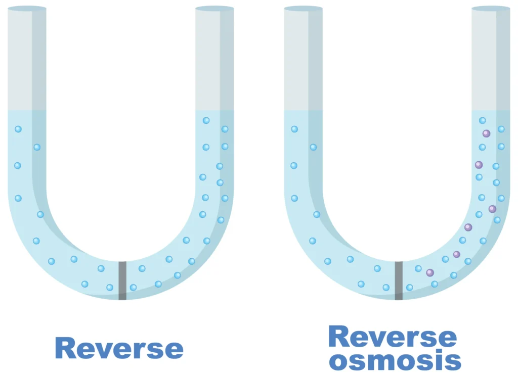 Osmosis and Osmotic Pressure in hindi