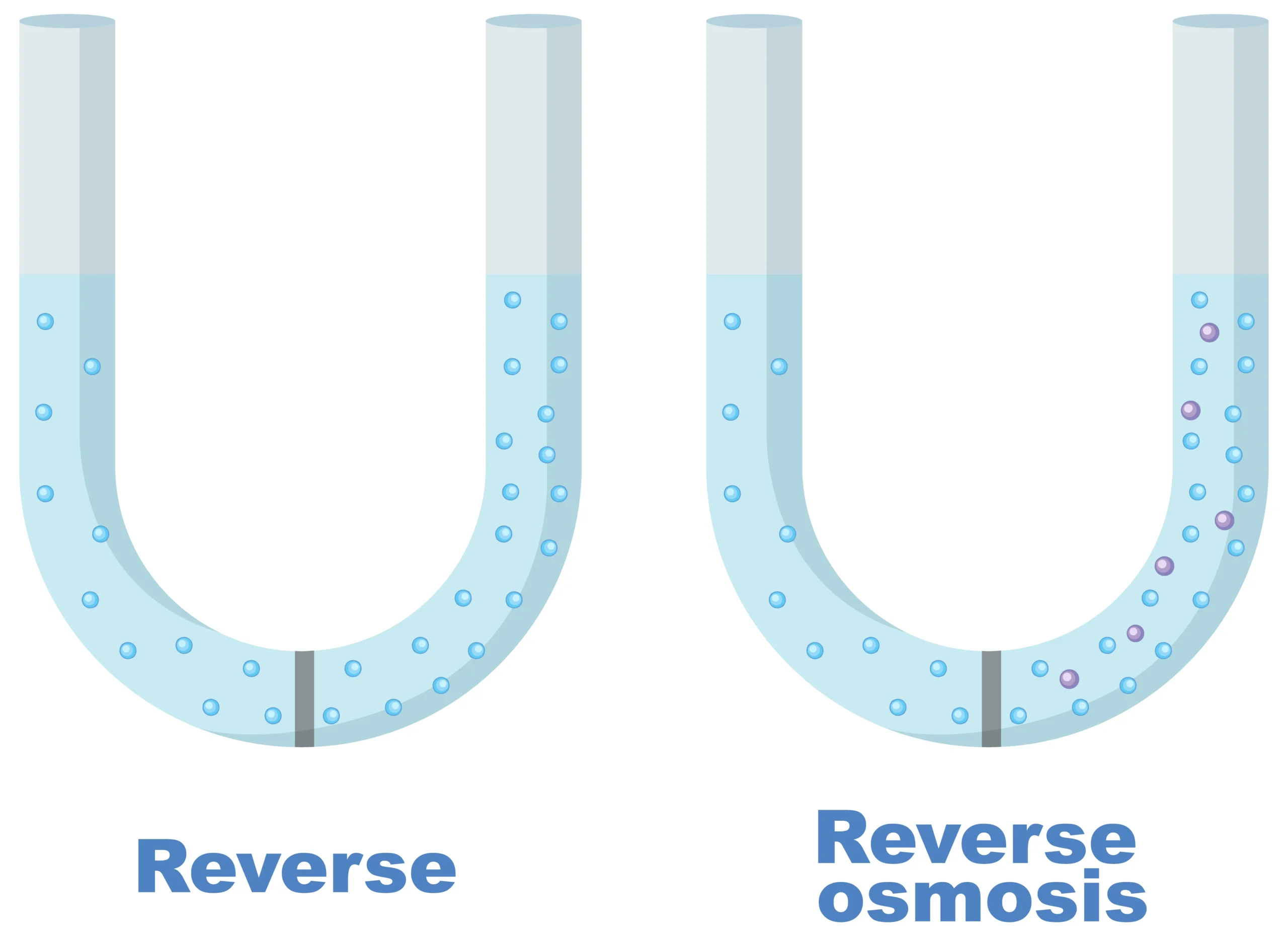 Osmosis and Osmotic Pressure in Hindi.