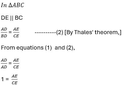 Triangle Solutions19