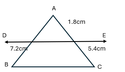 Triangle Solutions3
